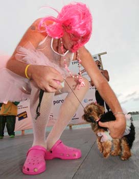 Pet Masquerade and Parade 2007 photo - Duval Street, Key West